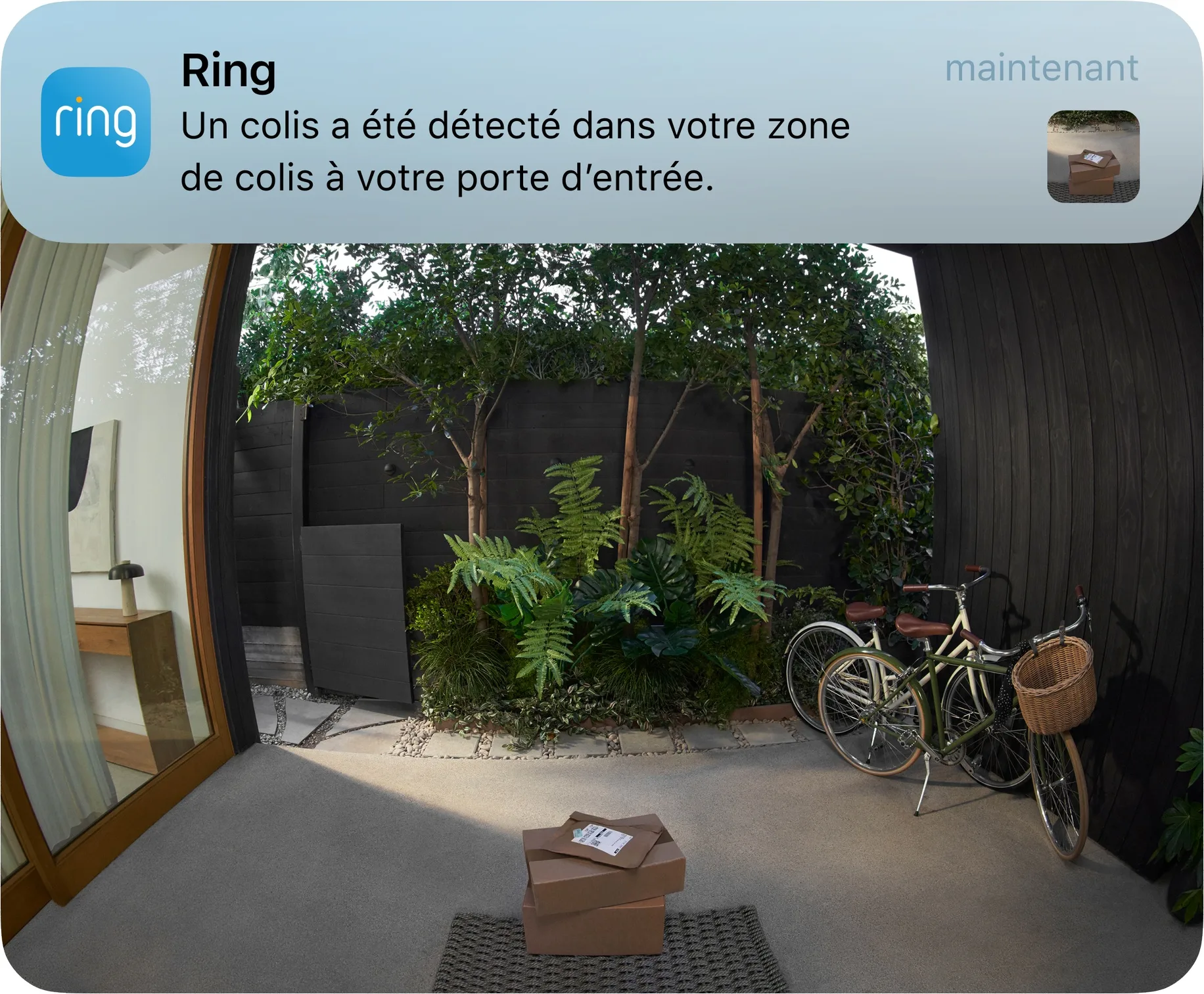 Ring Battery Video Doorbell Pro Nickel Satiné Sonnette connectée