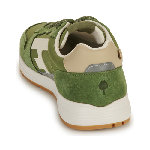 Faguo - OLIVE - Vert / Blanc