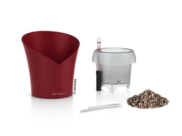 LECHUZA® ORCHIDEA, All-in-One Set, ca.
