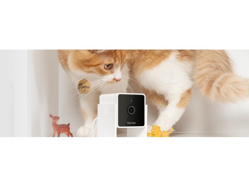Petcube Haustierkamera Pet Cube Haustierkamera mit 2-Wege-Audio und Nachtsicht