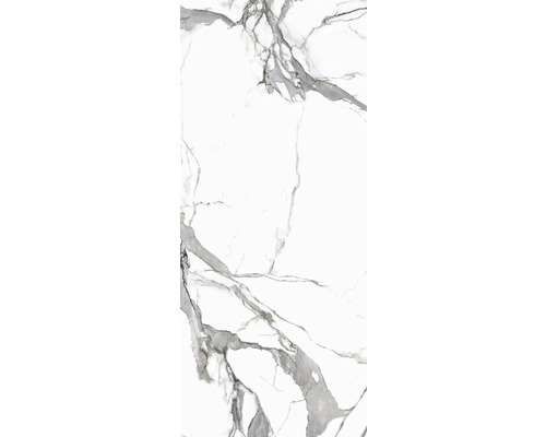 Porseleinen wand- en vloertegel Calacatta 279,7 x 119,7 x 0,6 cm wit gepolijst gerectificeerd