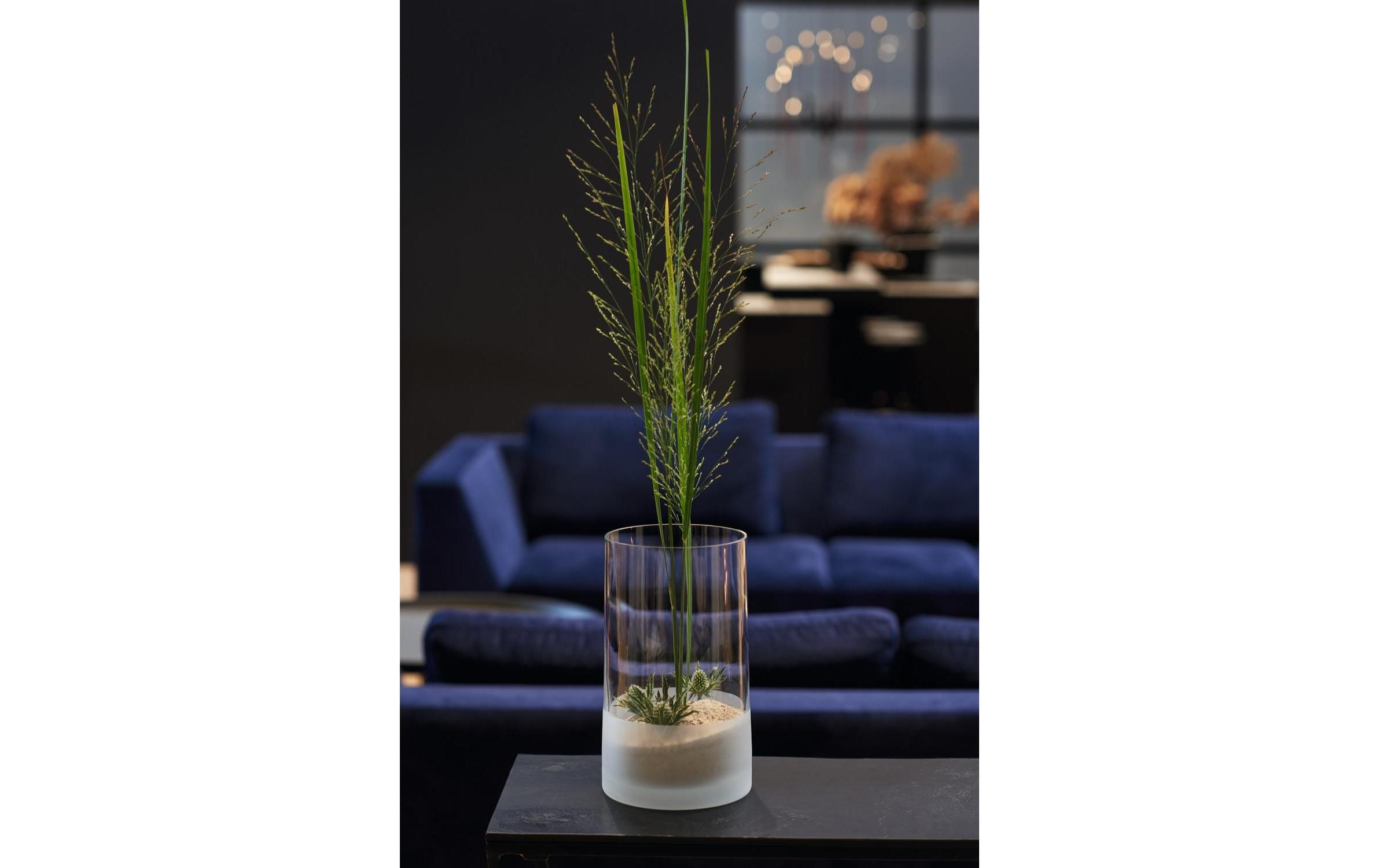Vase Novara 26 cm 2 Stück, TransparentVase aus Glas, Transparent/Weiss