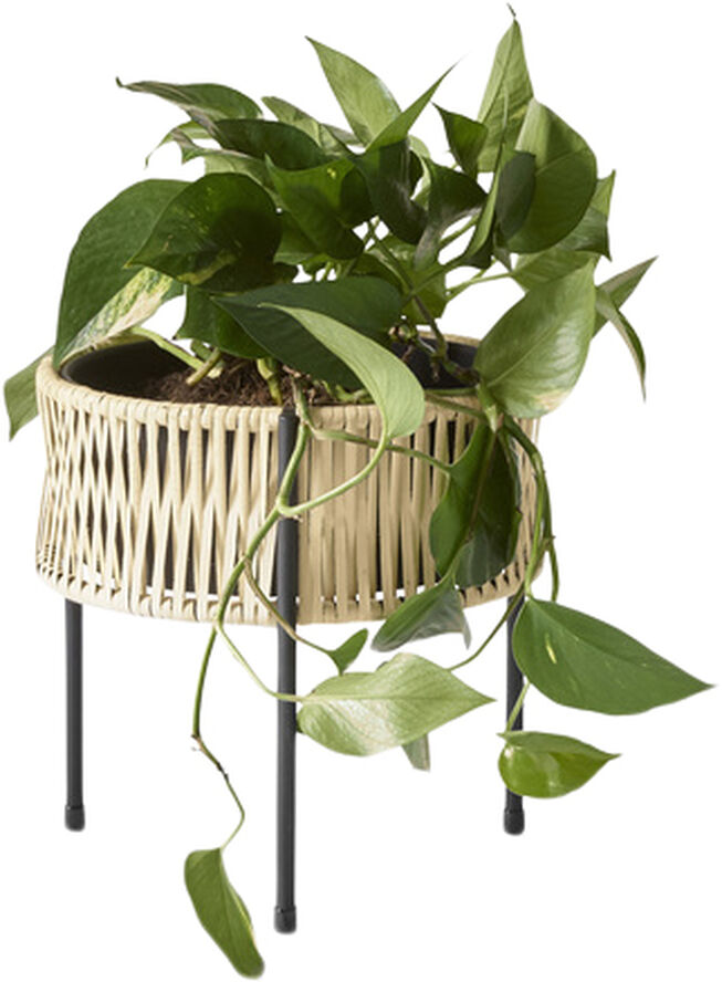 Audo Copenhagen Umanoff, Planter, H 27 Brun & sort
