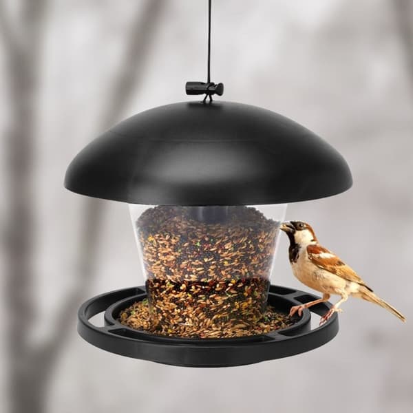Seed Bird Feeder - Tiltrekk småfugler hele året