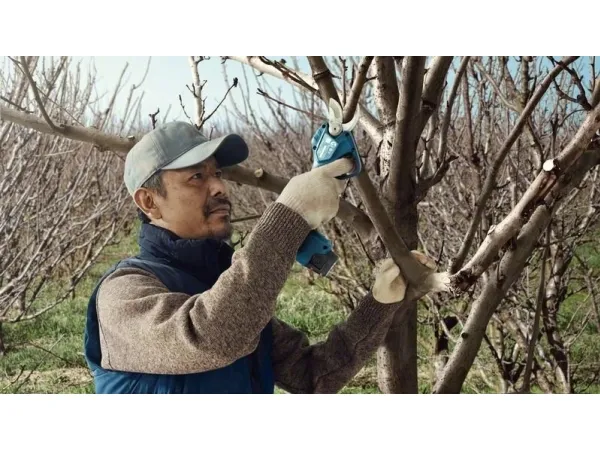 Bosch BOSCH.SEKATOR 12V 25mm PRO PRUNER SOLO B06019K1020 - SOLO