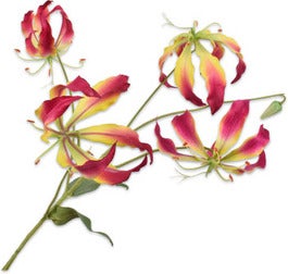 Silk-Ka kunstbloem Gloriosa paars 86 cm