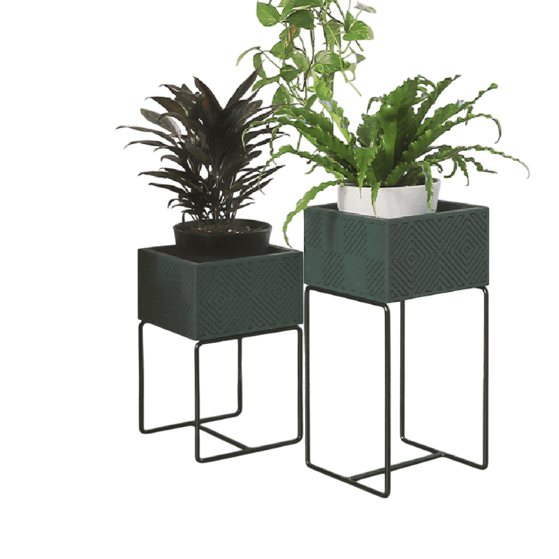 Nevi the plantbox Tannengrün, Schwarz S