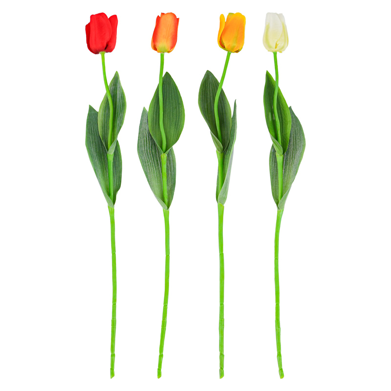 Tige de tulipe