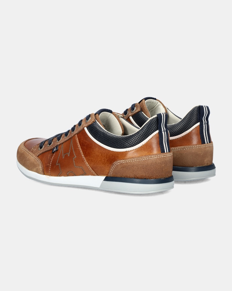 Gaastra Bayline Lage sneakers  - cognac