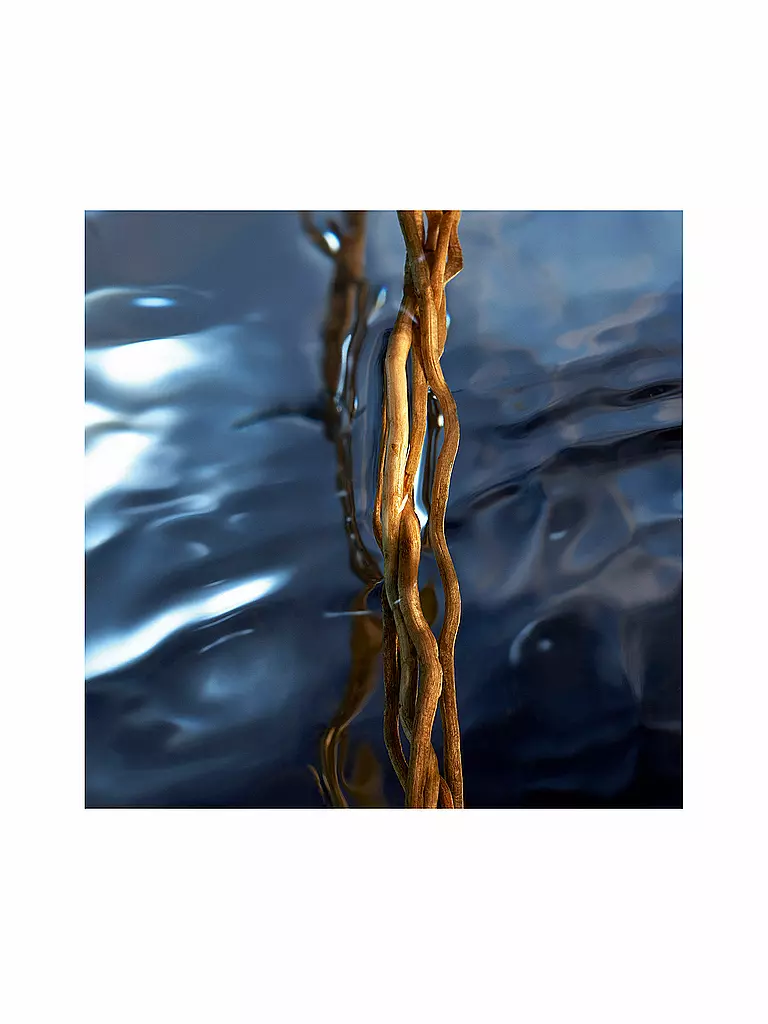 DAVIDOFF Cool Water Reborn Man Eau de Toilette 125ml keine Farbe