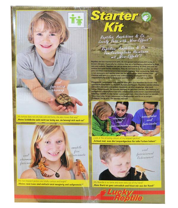 Lucky Reptile Terrarium Starter Kit