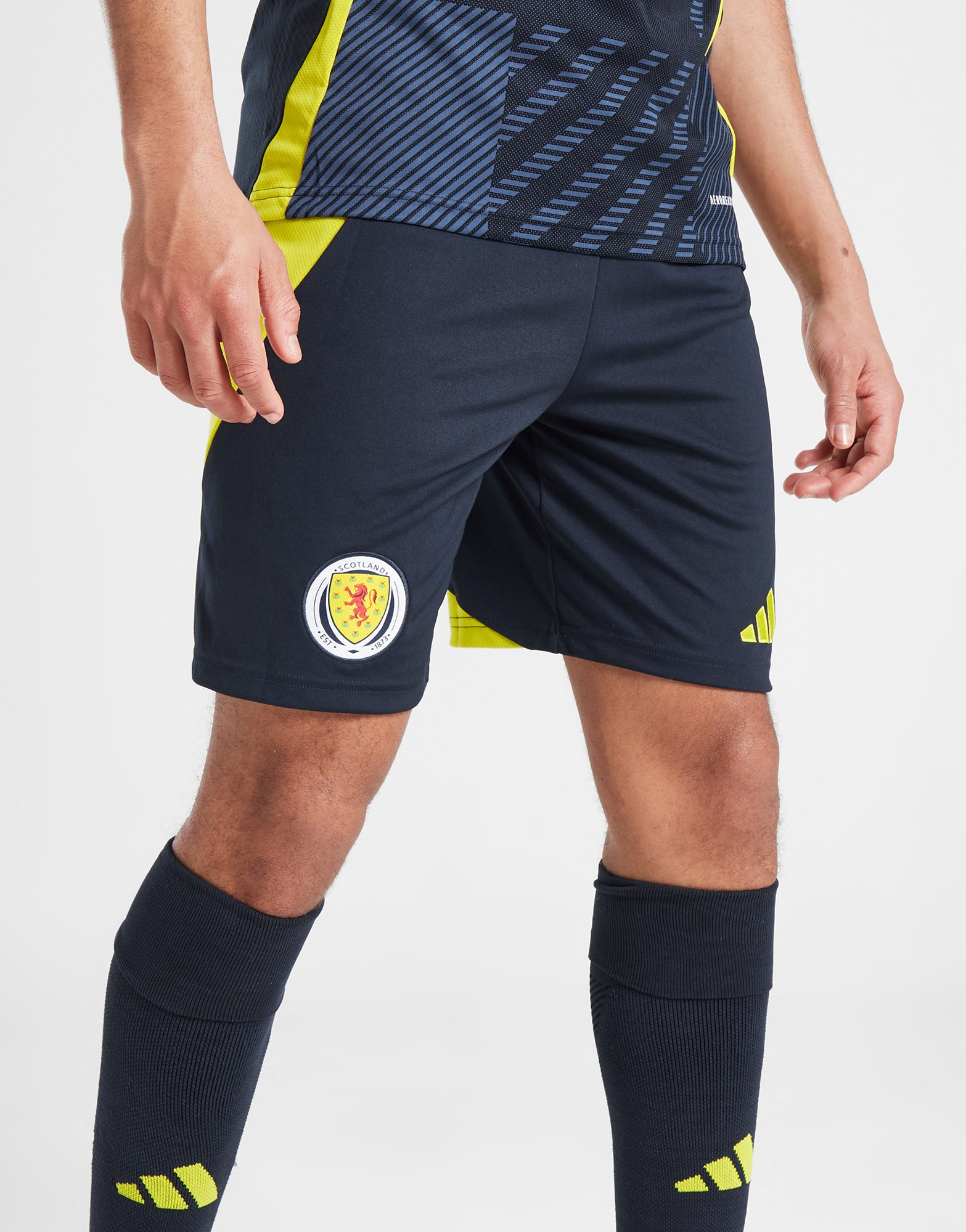 adidas Short Ecosse 2024 Match Domicile Junior