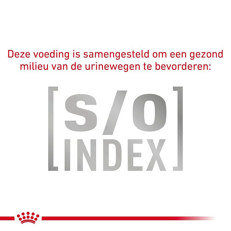 Royal Canin Kat Gastro Intestinal Moderate Calorie Kattenvoer voor ondersteuning van de spijsvertering en een gezond gewicht van volwassen katten