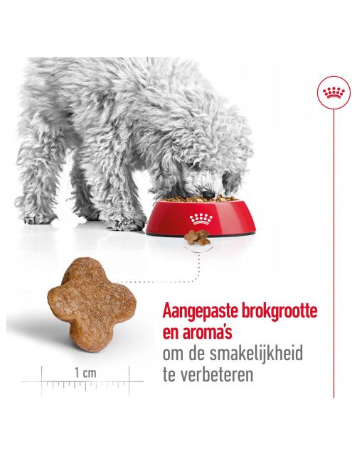 Royal Canin Mini Adult 8+ - Hondenvoer