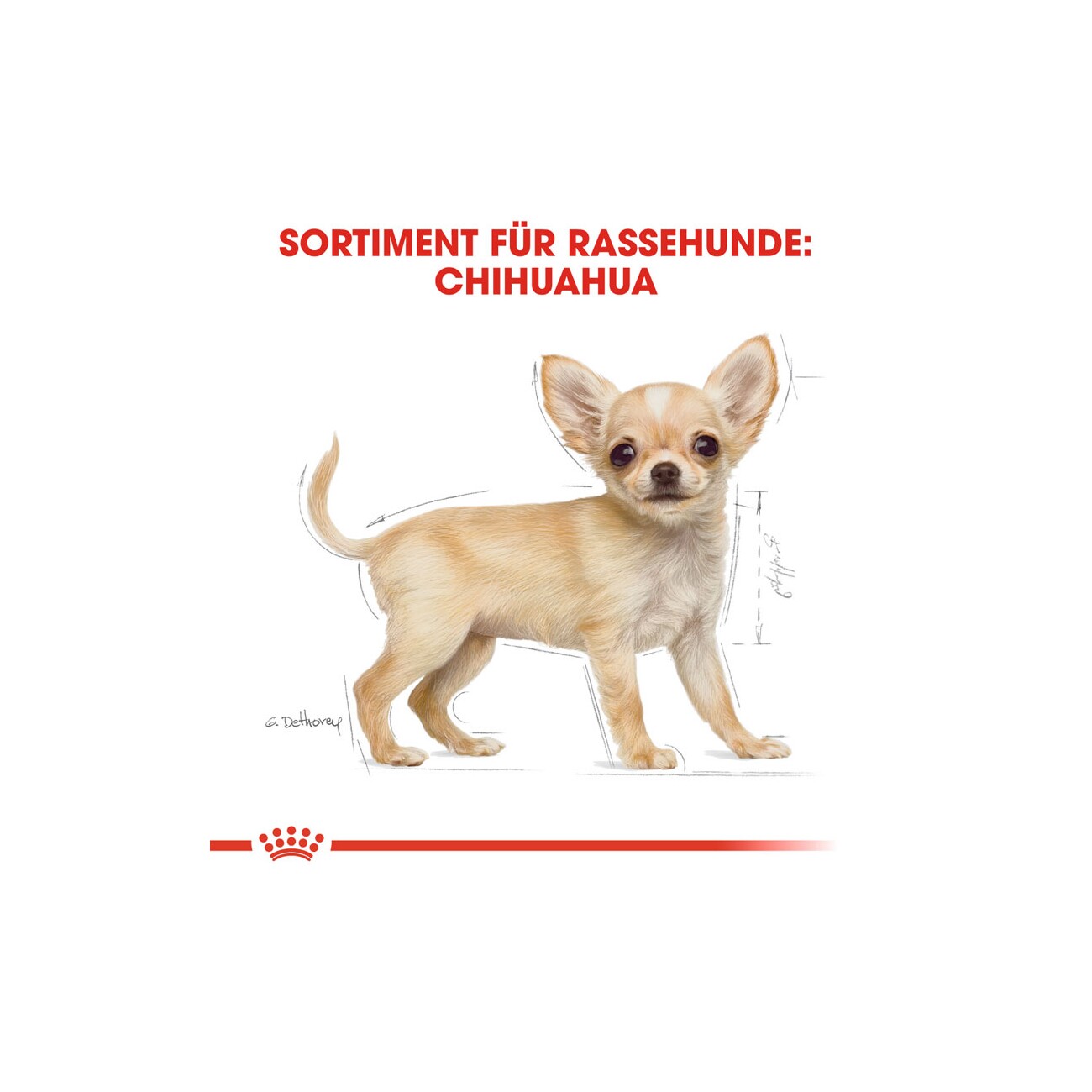 ROYAL CANIN Chihuahua Puppy 1,5 kg