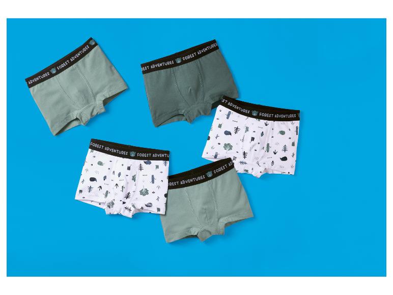 Set van 5 kinder boxers