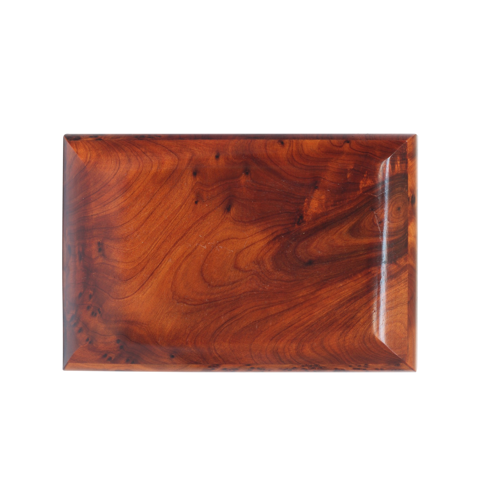 Thuja Box von fischer's lagerhaus