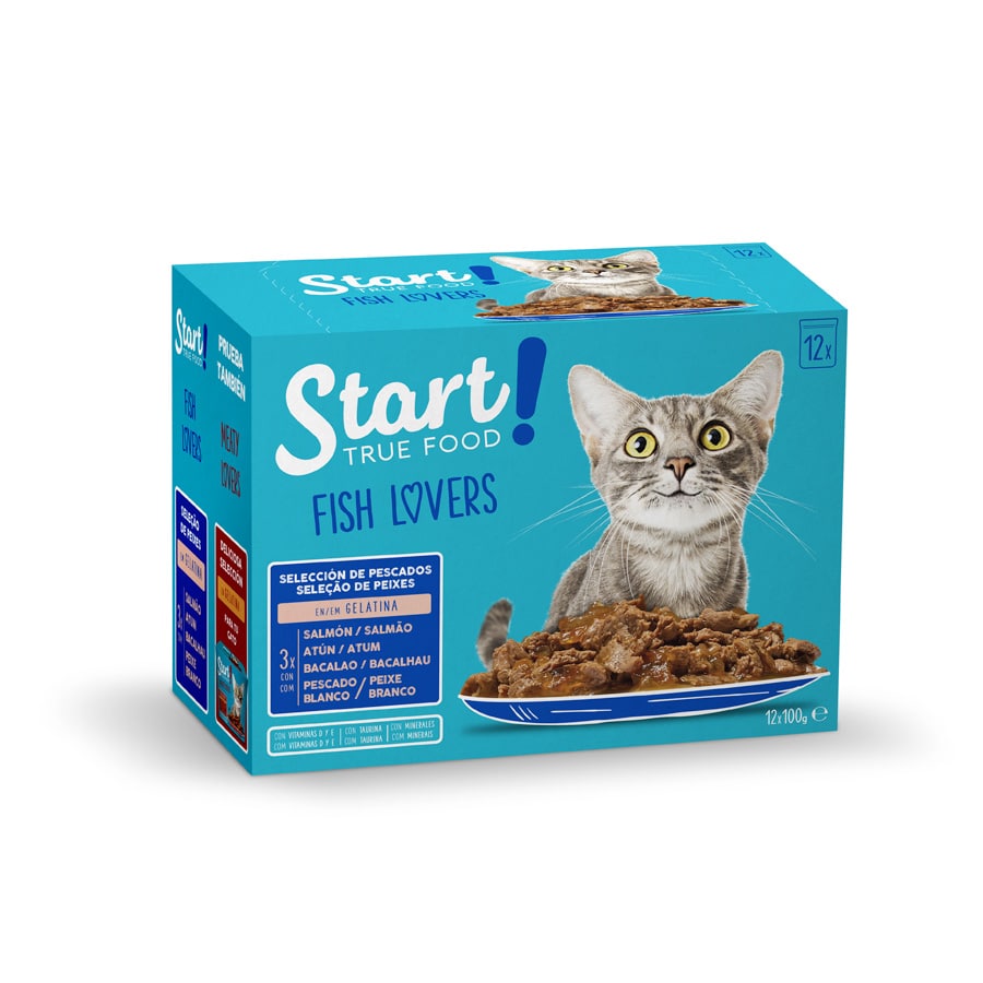 Sachês de geleia Start Cat Fish Selection para gatos - Pacote múltiplo