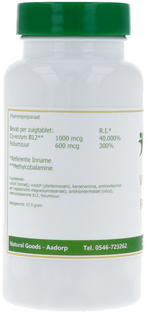 Elvitum Vitamine B12   Foliumzuur Zuigtabletten 270TB