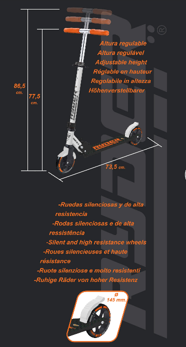 Patinete Ryder Street de 2 rodas (3288)