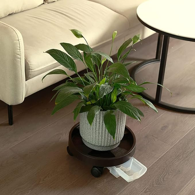 (Ø37cm) Blumentopf Rollen Pflanzen Deko Transport Untersetzer mit Wasserschale / 4 Rädern - Schwarz