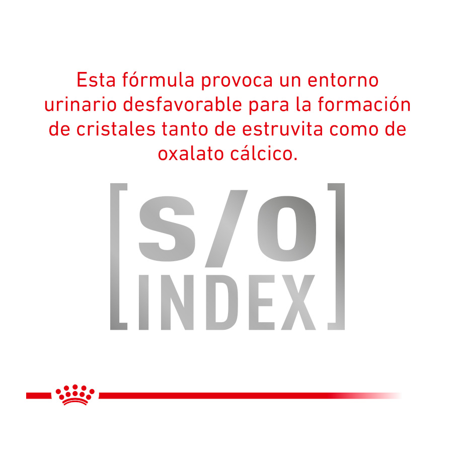 Ração para gatos Royal Canin Veterinary Urinary Moderate Calorie