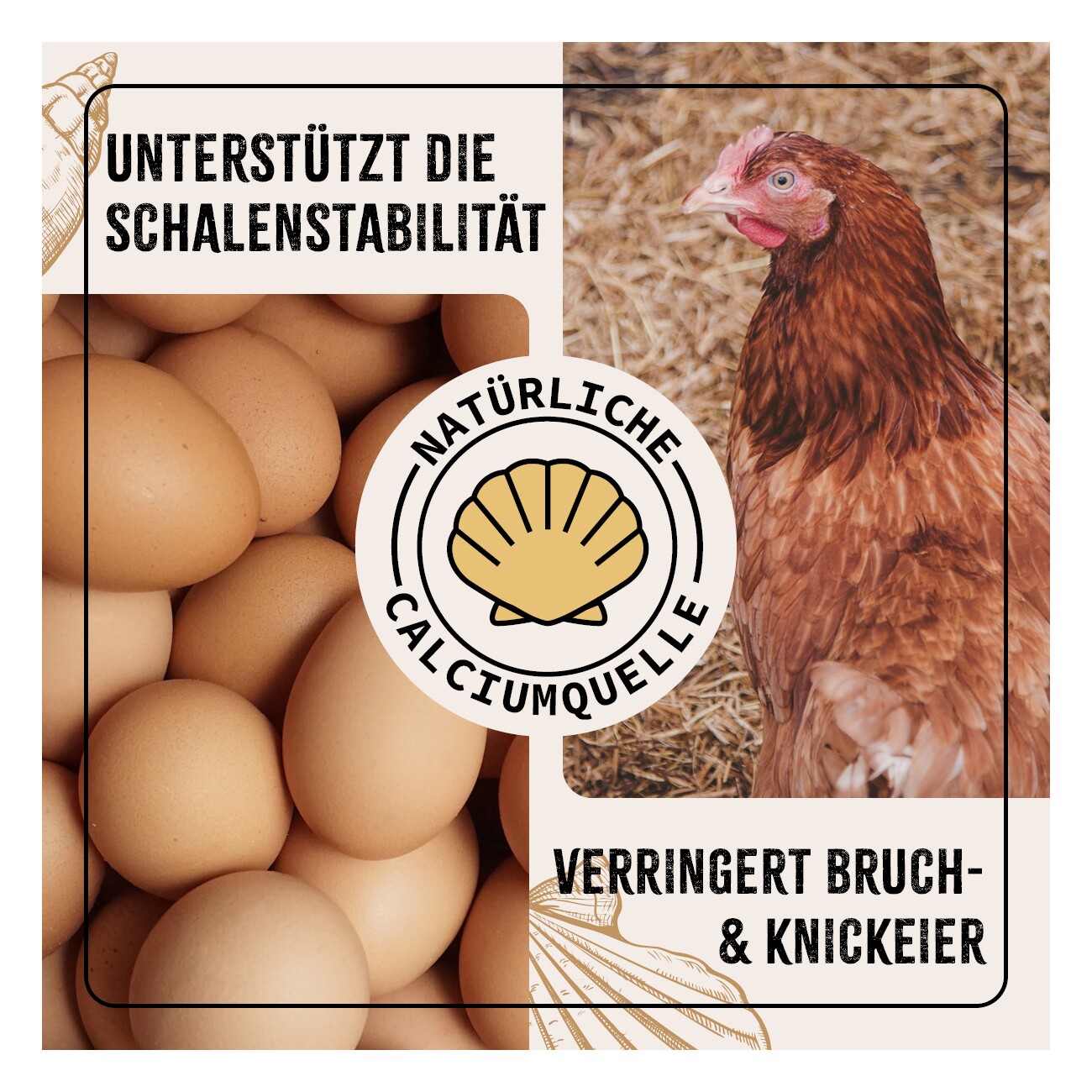 AniForte FarmLife Muschelgrit für Hühner 5kg