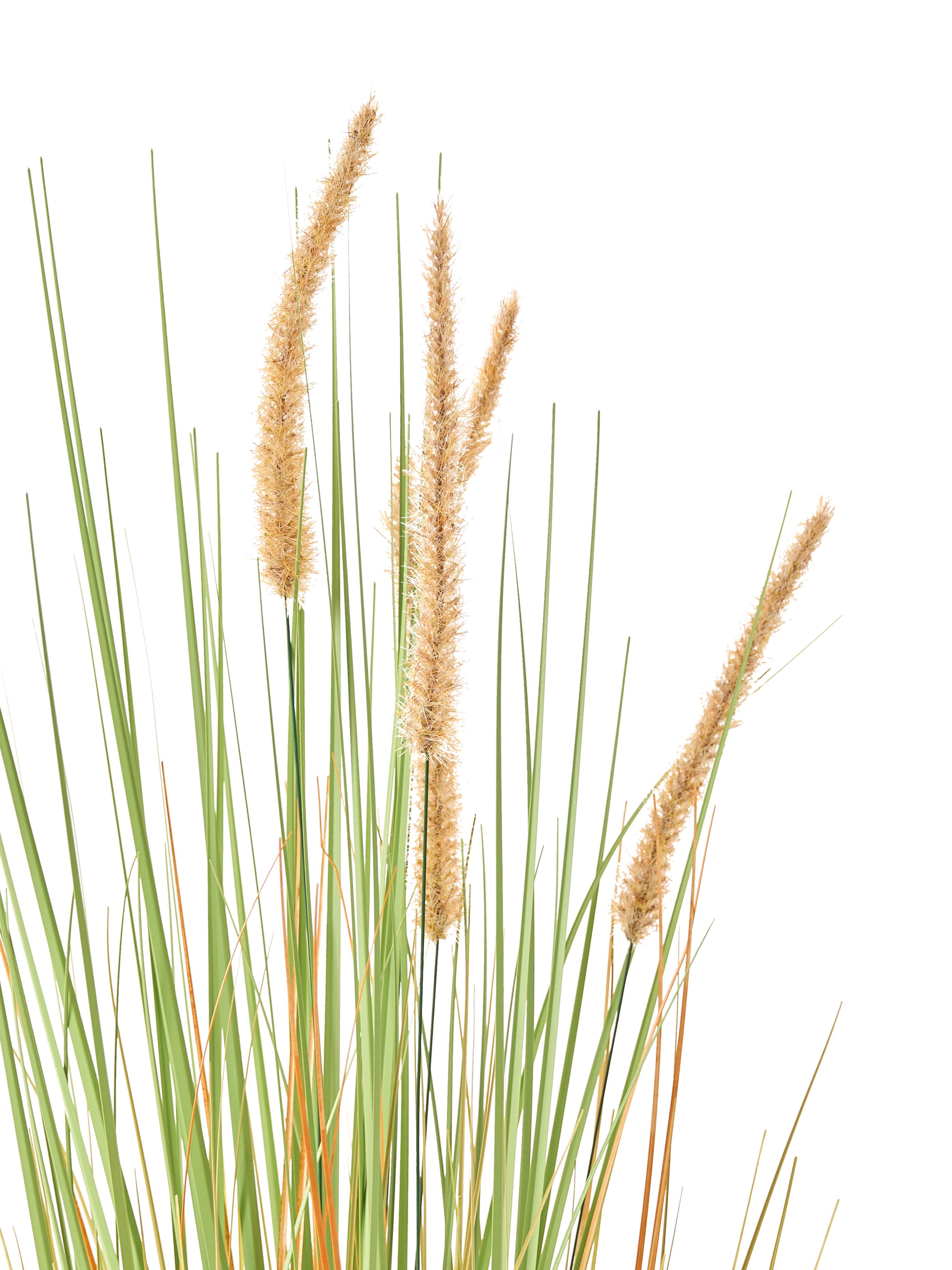 Kunstplant BRISTLEGRASS 90 cm Groen