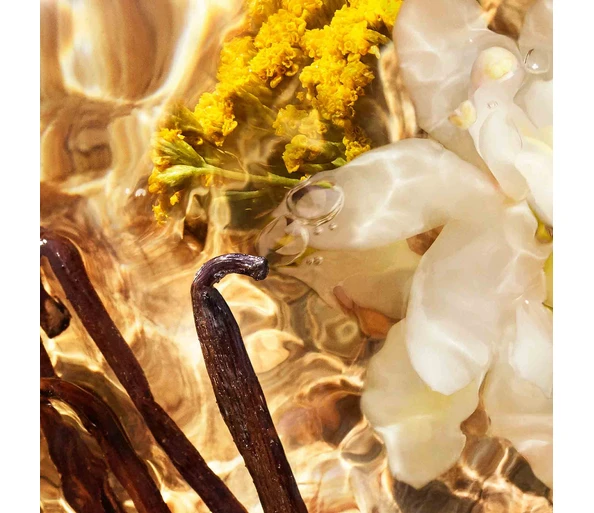 Guerlain Aqua Allegoria Forte Bosca Vanilla Eau de Parfum