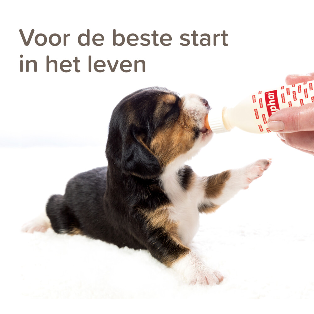Beaphar Lactol Melk Puppy1 kg