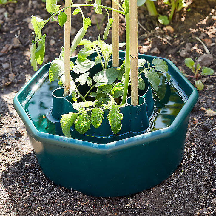 Tuteur tomate avec réserve d'eau Verve (lot de 3)