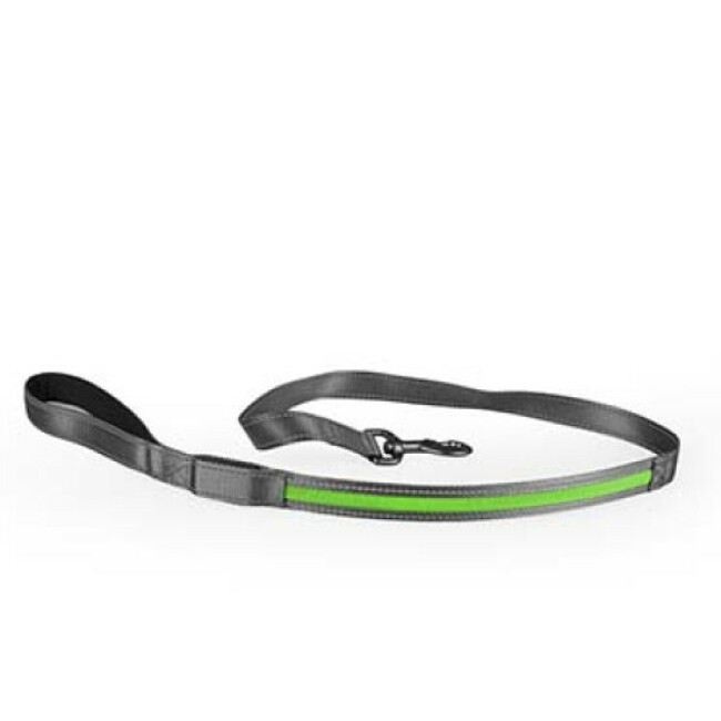 Laisse flash light usb nylon pour chien