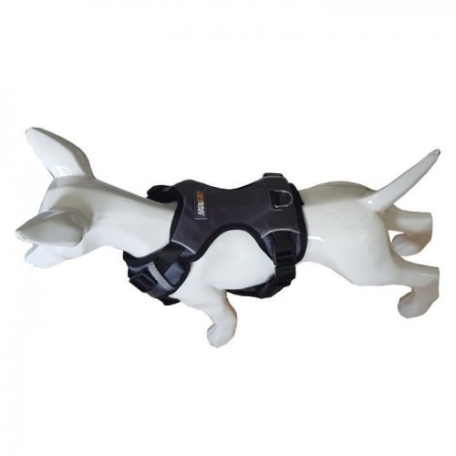 Coleira esportiva impermeável cinza Cstore Yago para cães