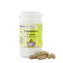 Holisan Punarnava 60cap