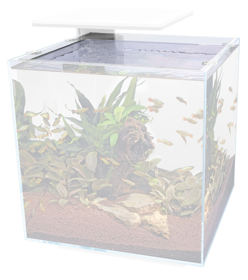 Qubiq 60 Dekruit