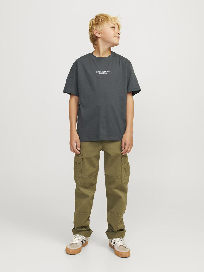 Jack & Jones JORVESTERBRO TEE SS CREW NECK NOOS Forest river/loose