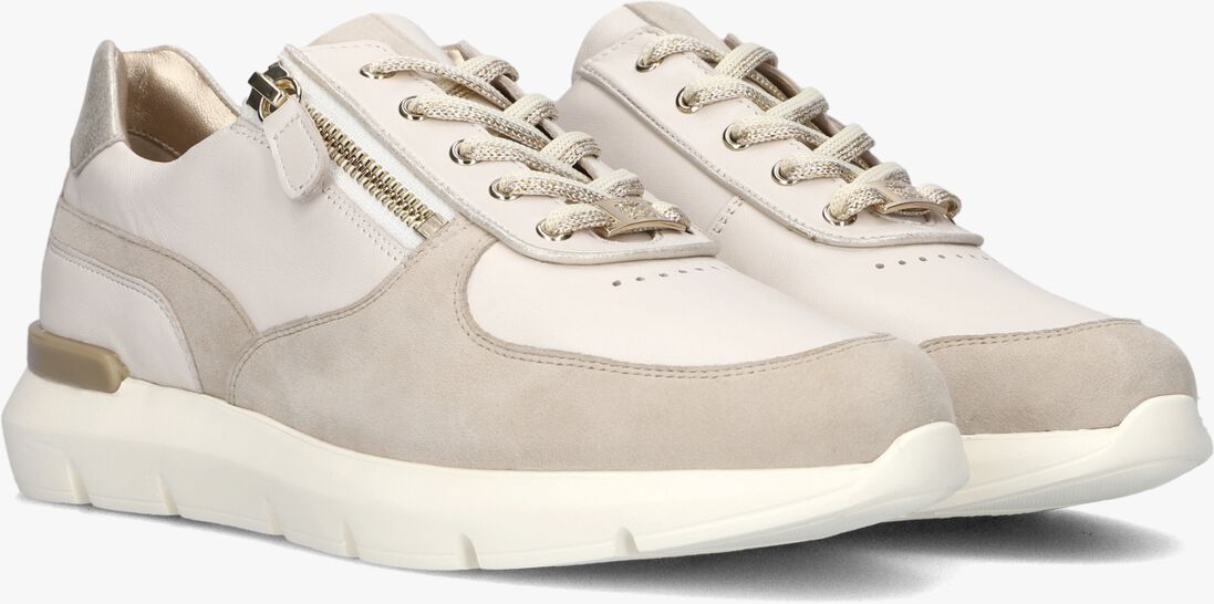 HASSIA beige hassia lage sneakers 301314