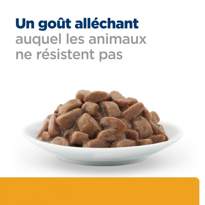 HILL'S Prescription Diet c/d Urinary Care Multicare en Sachets - Pâtée pour chat