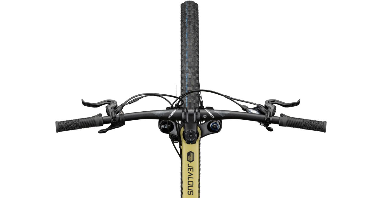 Radon Jealous AL 8.0 HD kaufen | Bike-Discount