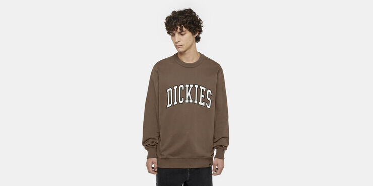 Dickies AITKIN SWEATSHIRT MUSHROOM/CLOUD Mushroom/cloud