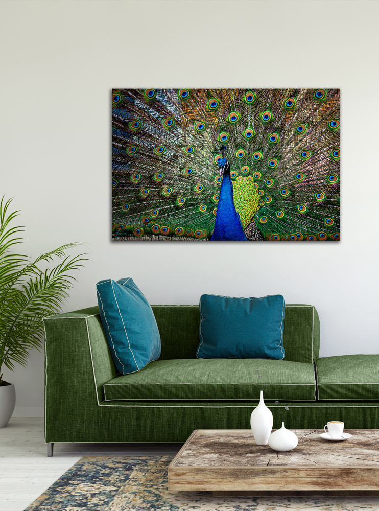 Akustikbild STOLZER PFAU 80x120cm, 7kg