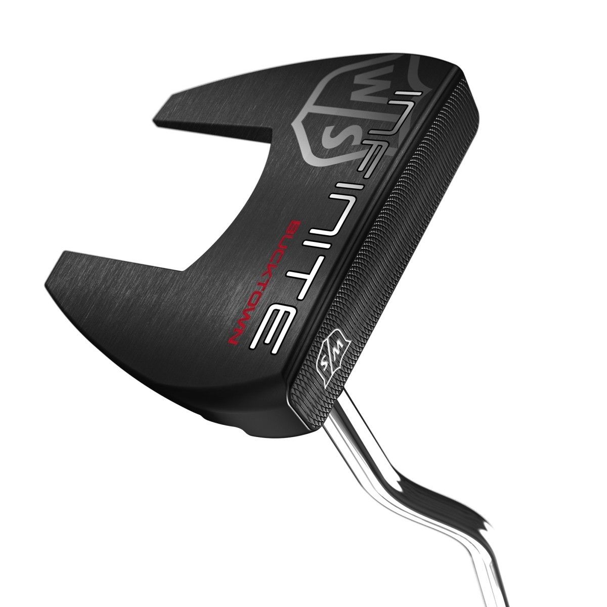 Infinite Bucktown 2022 Putter