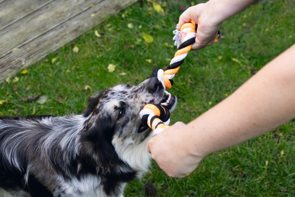Beeztees hondenspeelgoed flostouw 4 knopen zwart/oranje 140 g