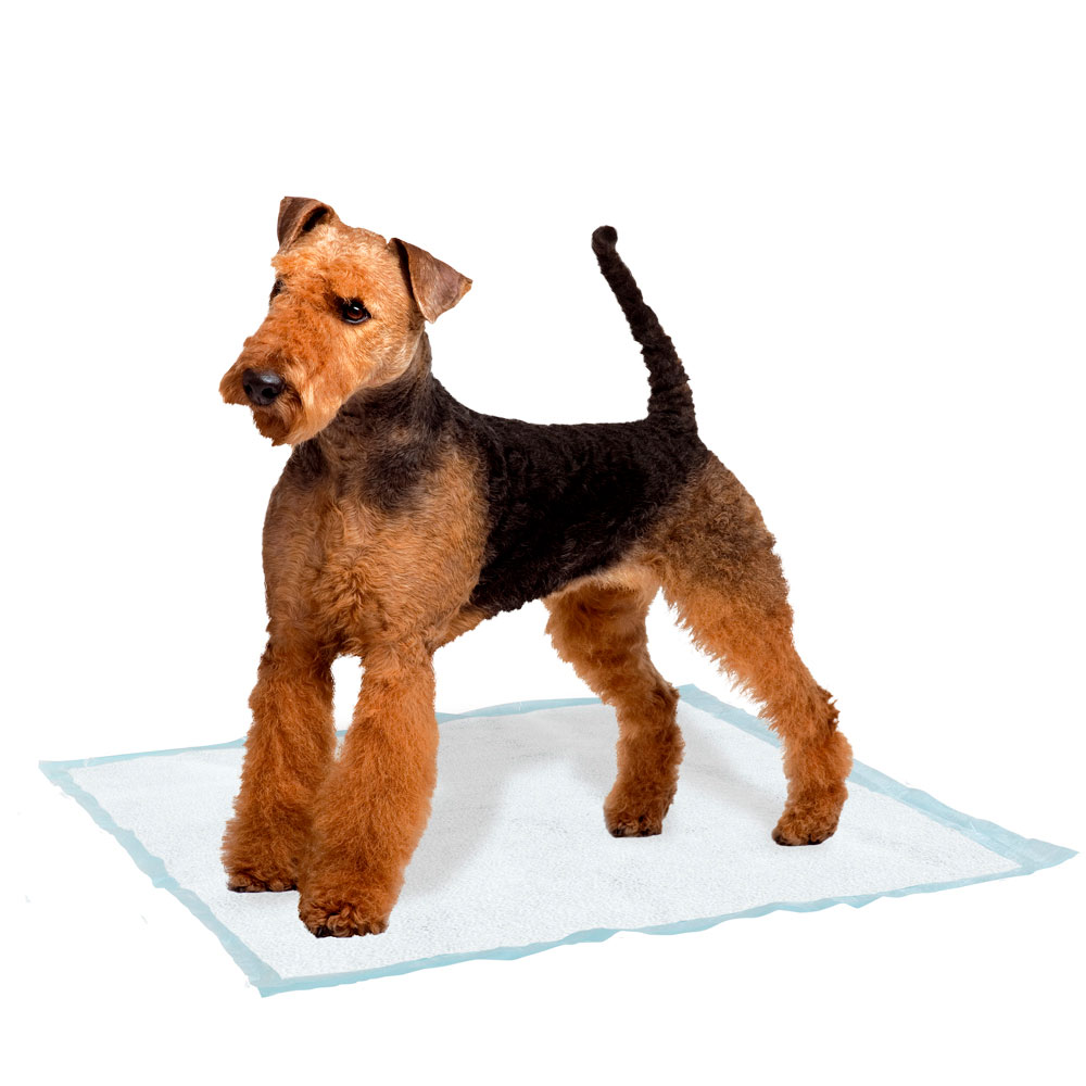 Tapis hygiénique genico medium adhésif ferplast absorbant pratique