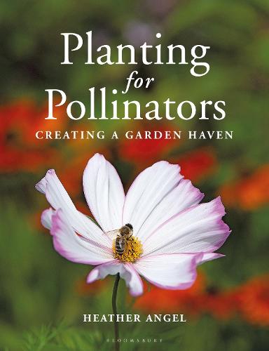 Planting for Pollinators: Creating a Garden Haven (Paperback)
