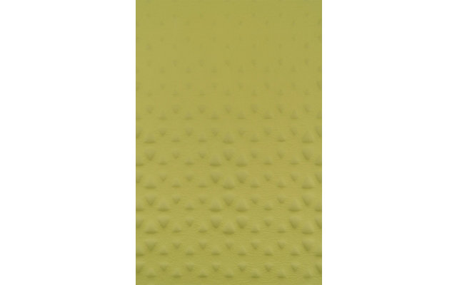 Sea to Summit Camp Self Inflating Sleeping Mat