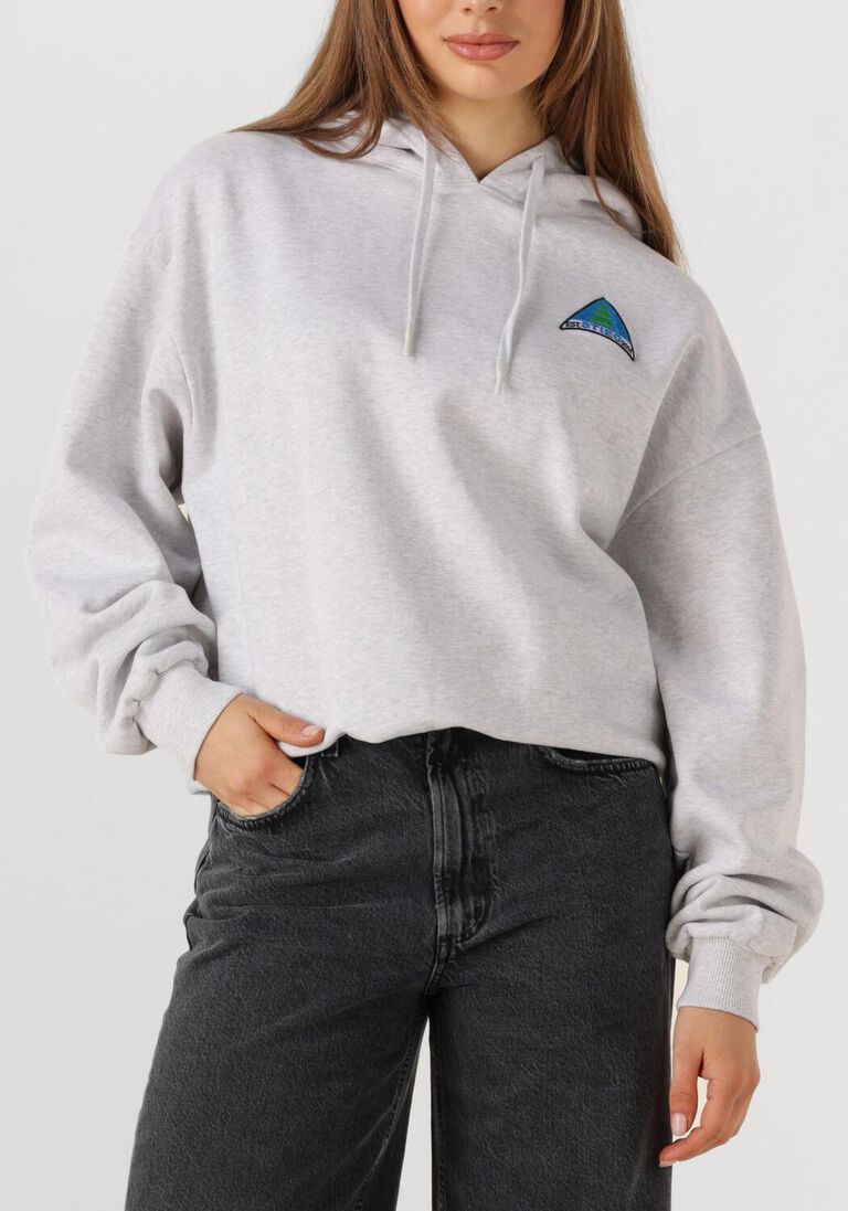 lichtgrijze stieglitz trui cisco hoodie