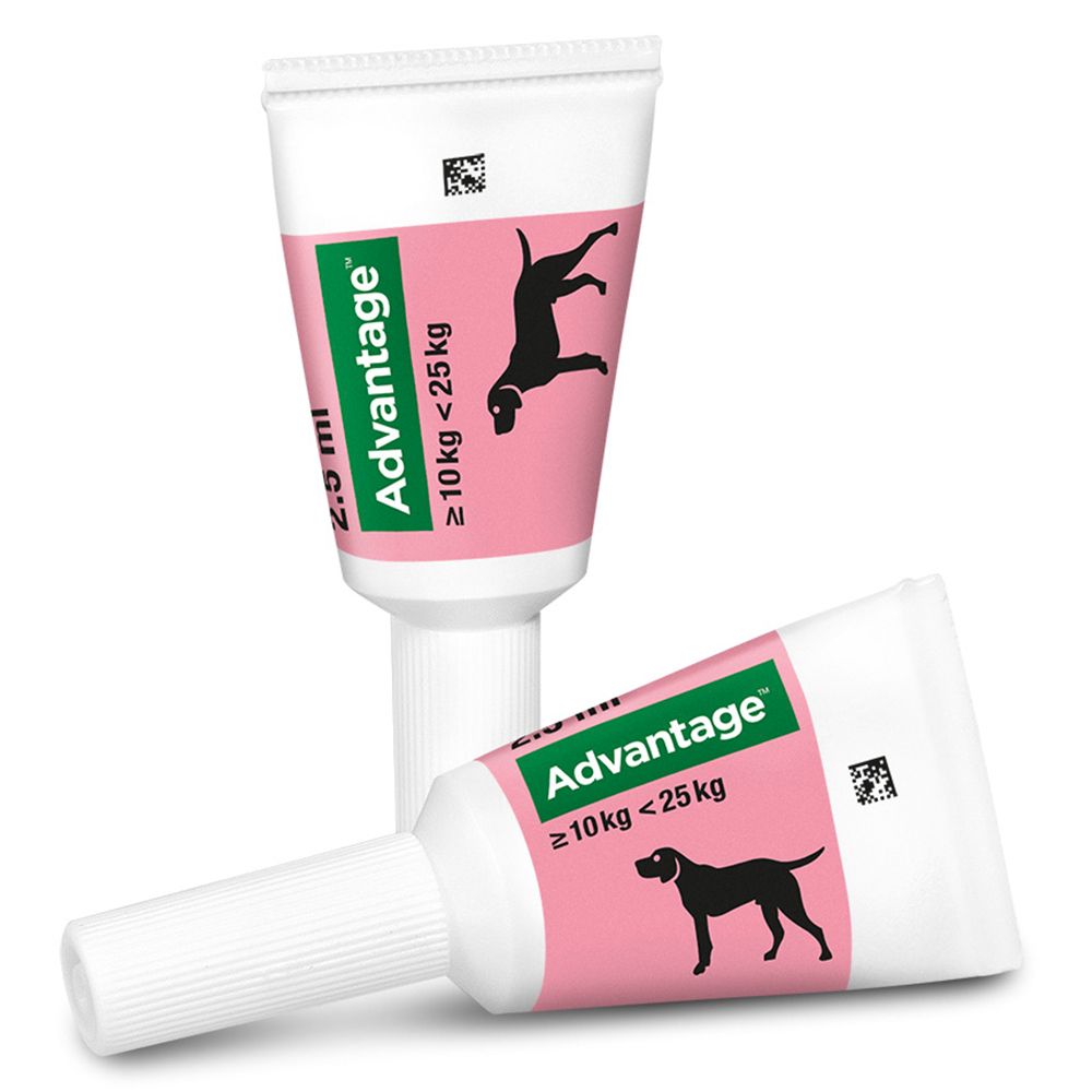 Advantage® 250 mg Spot-On für Hunde 10 - 25 kg