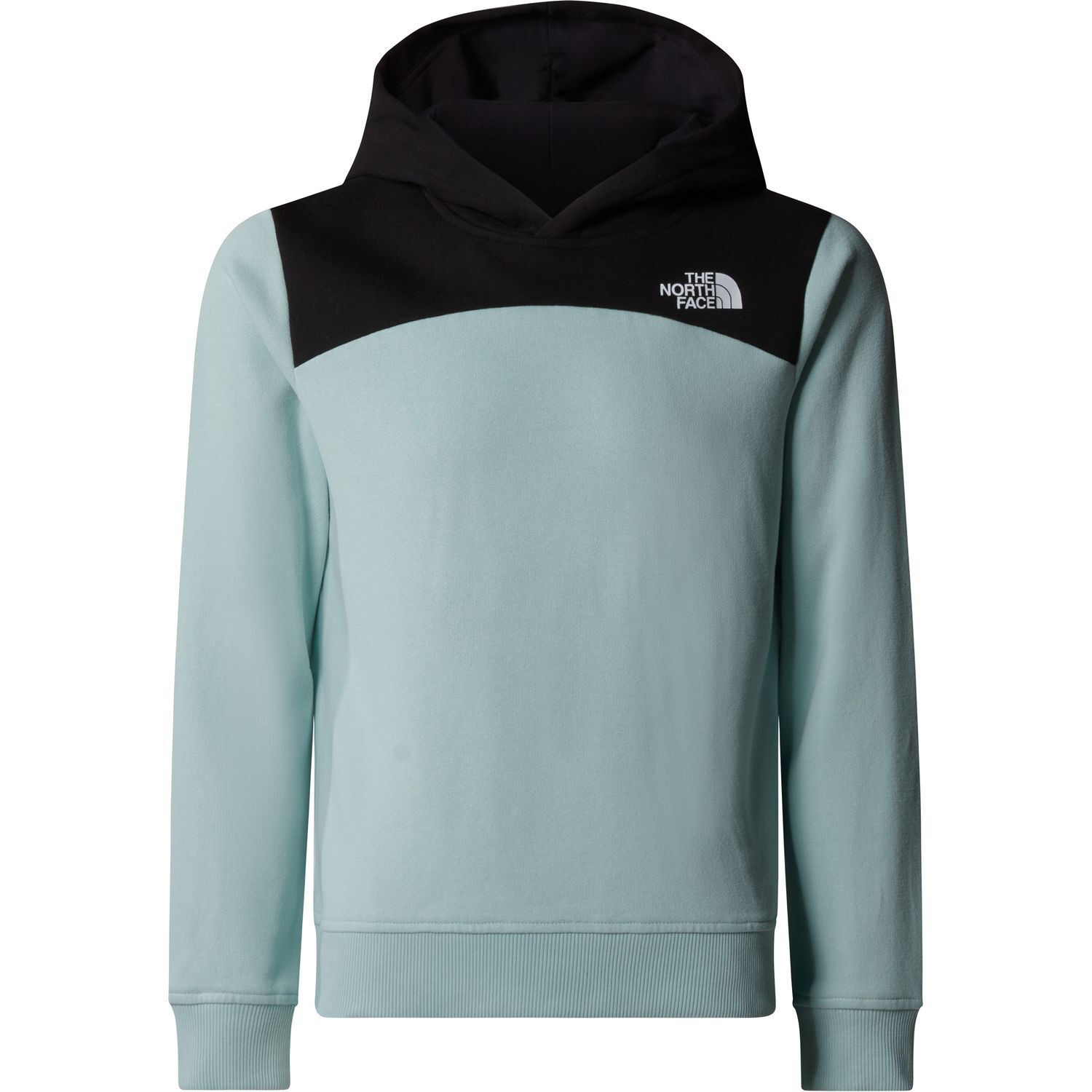 The North FaceGirl’s Back Logo Relaxed P/O Hoodie