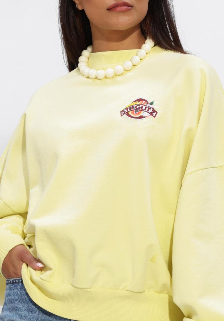 gele stieglitz truien/vesten cindy oversized sweater